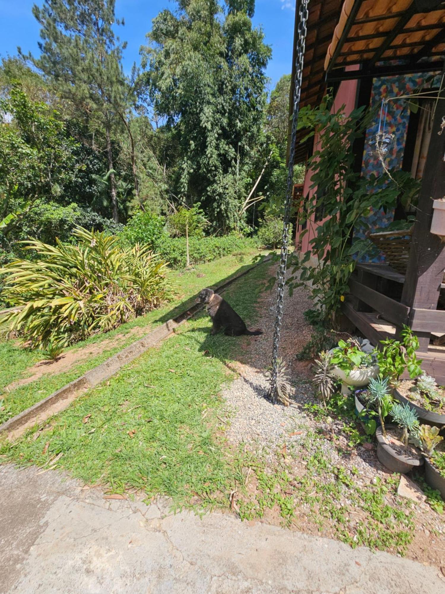 Suítes Casinha do Alto da Bocaina Sao Pedro da Serra (Rio de Janeiro) Exterior foto